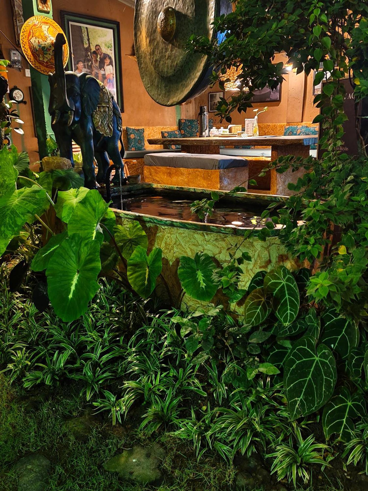 Vin Vin Hostel